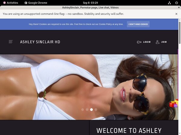 AshleySinclair Hack Login