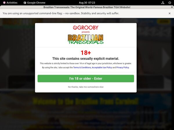 Brazilian Transsexuals New Sex Videos