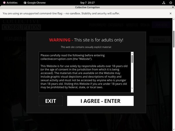 Collective Corruption Password Dump