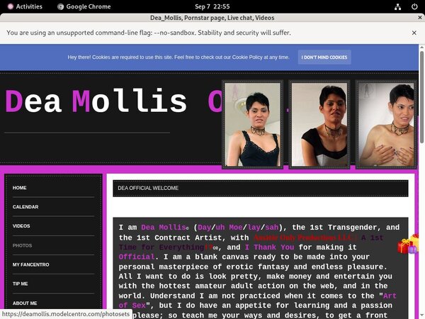 Deamollis Checkout Deamollis Checkout