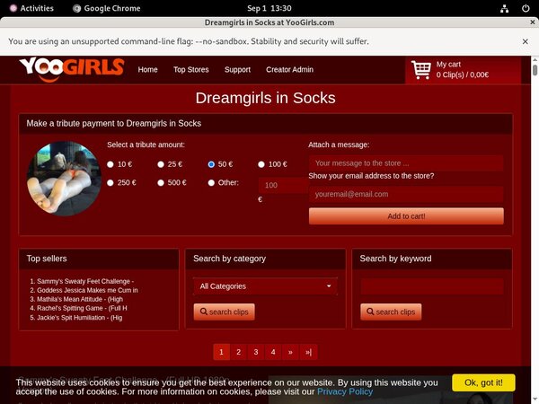 DreamgirlsInSocks Full Website