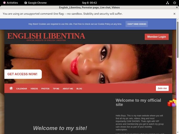 Englishlibentina.modelcentro.com Code