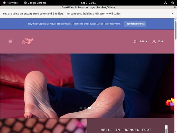 Frances.modelcentro.com Free Trial Subscription