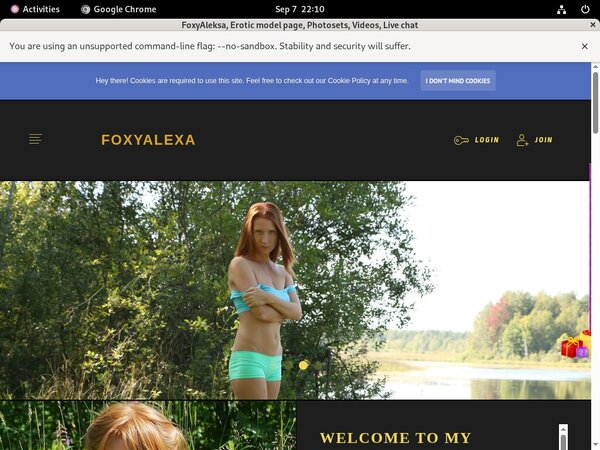 Free Password To FoxyAleksa