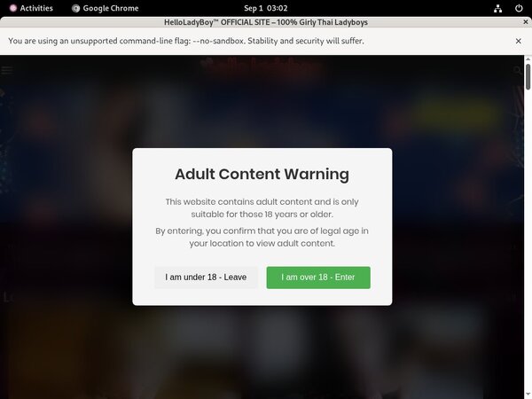 Free Porn Helloladyboy