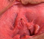 Gape My Pussy Segpayeu Com