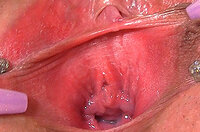 Gape My Pussy Torrent s1