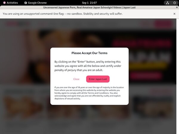 Japanlust.com Passwords Blog