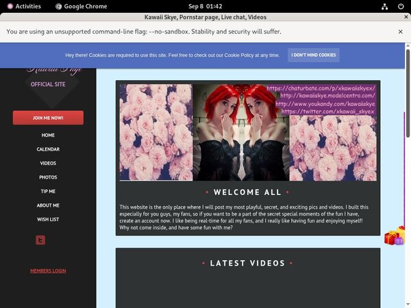 Kawaii Skye Paysites Reviews