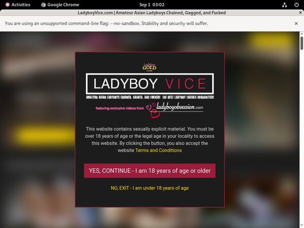 Ladyboy Vice Accounts