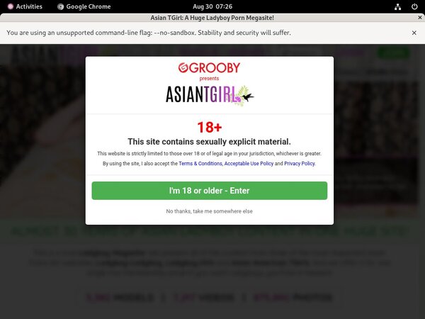 Ladyboy-ladyboy.com Discount (up To 70%)