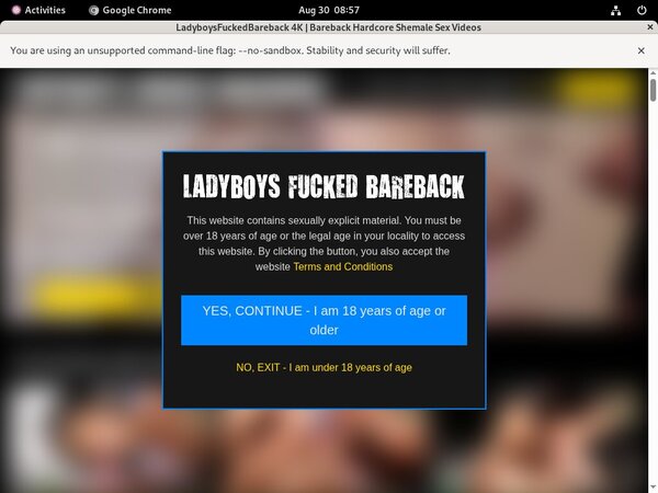 Ladyboys Fucked Bareback Mobile Accounts