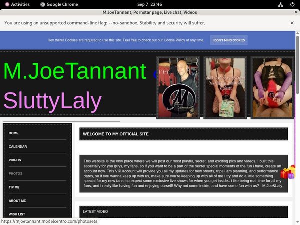 Mjoetannant.modelcentro.com Id Password