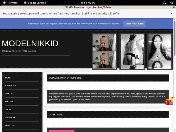ModelNikki Free Users