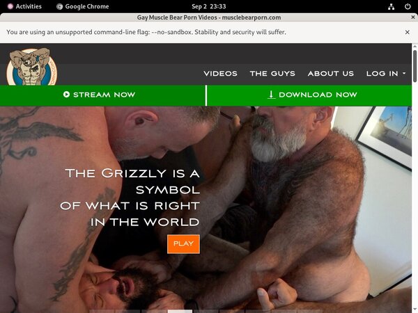 Muscle Bear Porn Discount Site