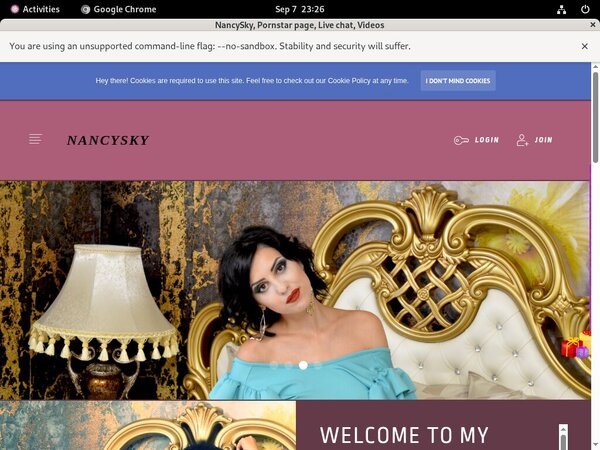 Nancysky.modelcentro.com Paypal?