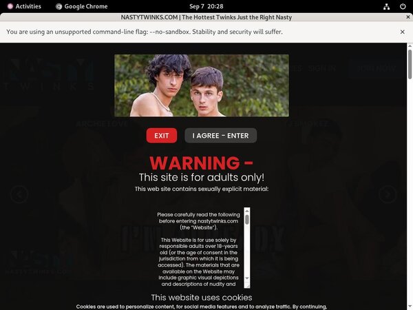 Nasty Twinks Free Download