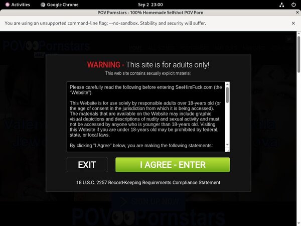 [Image: POV-Pornstars-Pics.jpg]