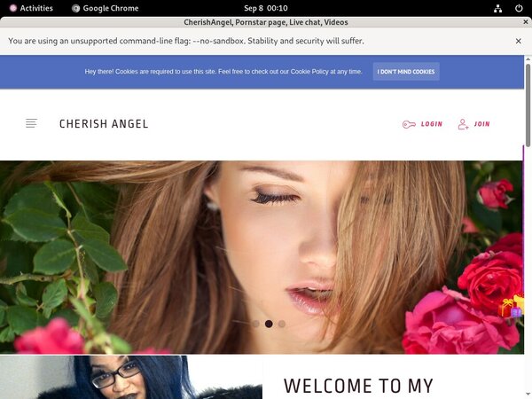 Passwords Cherishangel.modelcentro.com Free