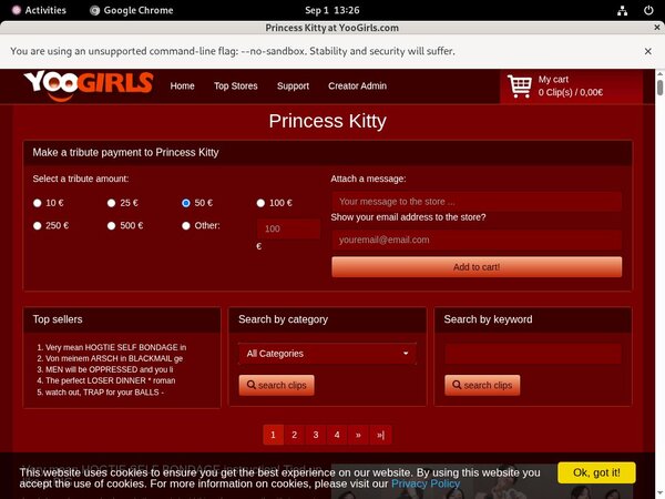 PrincessKitty Password Login