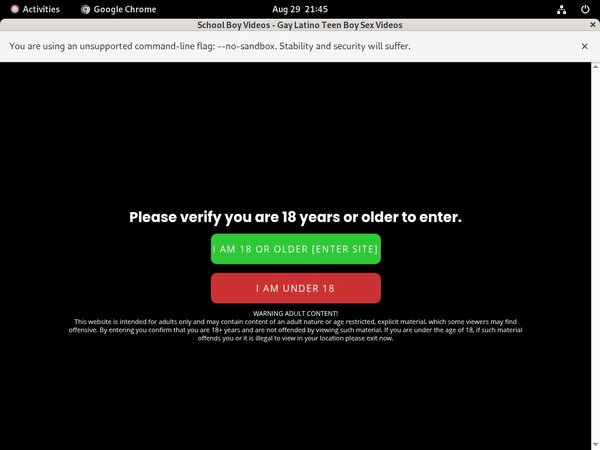 School Boy Videos Segpay Discount