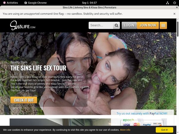 Sins Life X