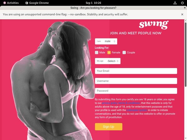 [Image: Swingnet-Trial-Deal.jpg]