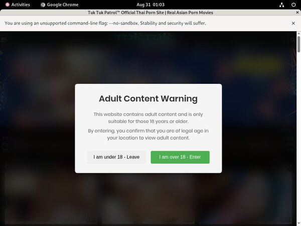 Try Free Tuk Tuk Patrol