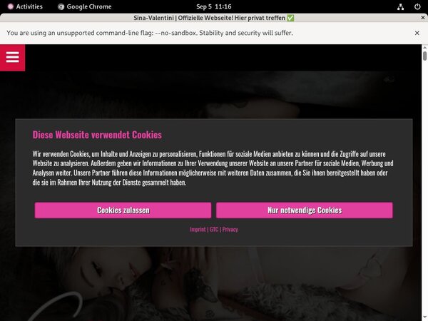 Use Sina Valentini Discount Link