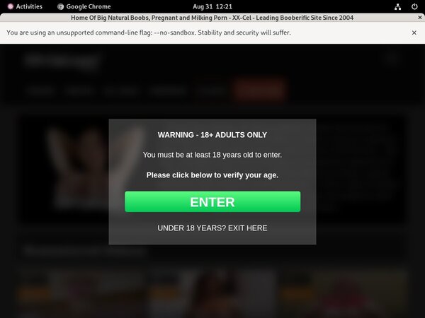 [Image: XXCel-Adult-Passwords.jpg]