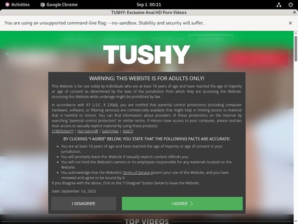 Tushy Payporn Sites