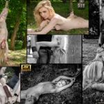 Subspace Land Discount On Membership